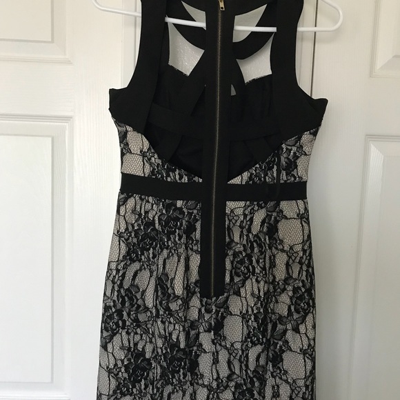 Elegant Sexy Cute Lace Dress. - Picture 3 of 5